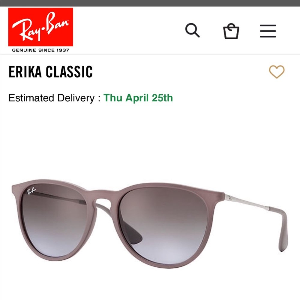 Ray- Ban Erika